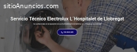 Técnico Electrolux Hospitalet Llobregat