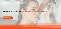 Técnico Ferroli Mallorca