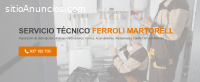 Técnico Ferroli Martorell