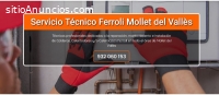 Técnico Ferroli  Mollet del Vallès