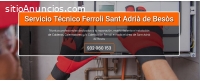 Técnico Ferroli  Sant Adrià de Besòs