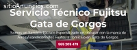 Técnico Fujitsu Gata de Gorgos