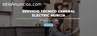 Técnico General Electric Murcia