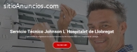 Técnico Johnson Hospitalet de Llobregat