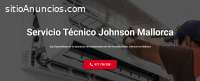 Técnico Johnson Mallorca 971727793