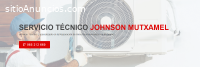 Técnico Johnson Mutxamel 965217105