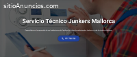 Técnico Junkers Mallorca 971727793