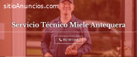 Técnico Miele  Antequera 952210452