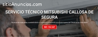 Técnico Mitsubishi  Callosa de Segura