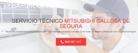 Técnico Mitsubishi Callosa de Segura