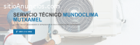 Técnico Mundoclima Mutxamel 965217105