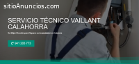 Técnico Vaillant Calahorra