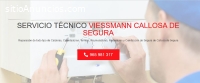 Técnico Viessmann Callosa de Segura