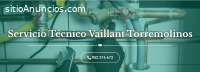 Técnico Viessmann Torremolinos 952210452