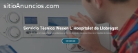 Técnico Wesen Hospitalet de Llobregat