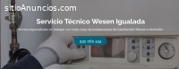 Técnico Wesen Igualada