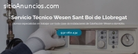 Técnico Wesen Sant Boi de Llobregat