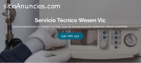Técnico Wesen Vic