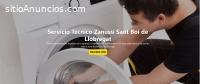 Técnico Zanussi Sant Boi de Llobregat