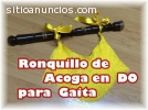 VENDO RONQUILLO DE ACOGA  DO PARA GAITA