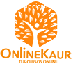 venta de cursos online