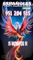 VIDENTES  15 MIN 5 EUROS