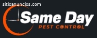 Same Day Pest Control Hobart