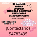 Empleos domestico