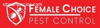 Flies Control Service Brisbane