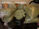 Marihuana Medicinal, drogas malas hierba