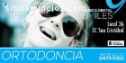 ortodoncia profesional