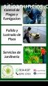 Servicios de Jardineria y fumigacion