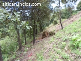 Terreno en Granjas de San Cristóbal