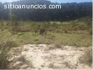 Terreno en venta San Miguel Petapa