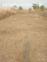 VENTA DE TERRENO LAGUNAS DE MONTERRICO I