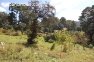 Venta finca en sector de Sumpango Sac.