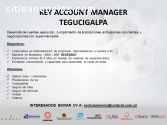 Key Account Manager