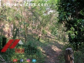 venta de finca en niquinohomo-nicaragua