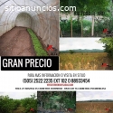 finca en venta ochomogo-rivas