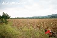 finca en venta ochomogo-rivas