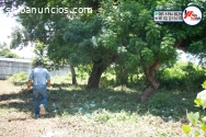 venta de terreno en masaya