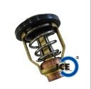 Ice Marine Yamaha Thermostat