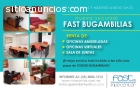 Oficinas zona Bugambilias con servicios