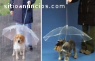 Paraguas de moda para perro