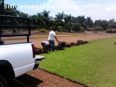 VIVERO DE MORELOS cesped PASTO EN ROLLO