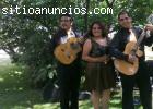 Trios para serenatas, fiestas, mañanitas, bodas, xv años, mus