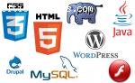 Diseño de páginas Web -Tomalaweb-