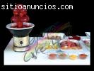 FUENTE DE CHAMOY