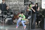 Curso de Verano