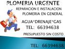 PLOMERIA